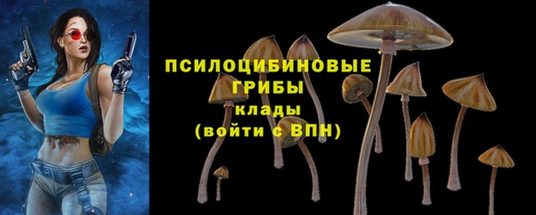 герыч Алзамай